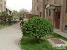 房子经典户型,采光楼层好,配套设施齐全,交通便利