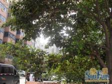 春晖小区 南北户型 交通便利 适宜老人居住 位置好