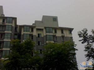 新新天第2室1厅南北