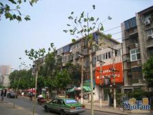 前进路50号院 通透一室一厅 采光好 小区环境好