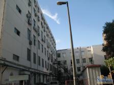 河北区江都路街鹤山里1室1厅