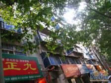 郑煤机西院 电梯房 院内公立幼儿园