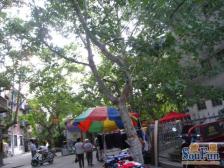 五一公园地铁口 低总价 双气一室