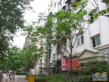 花园小区,得房率高,急售价位可议