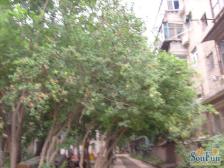 中间楼层, 方方正正,全明户型