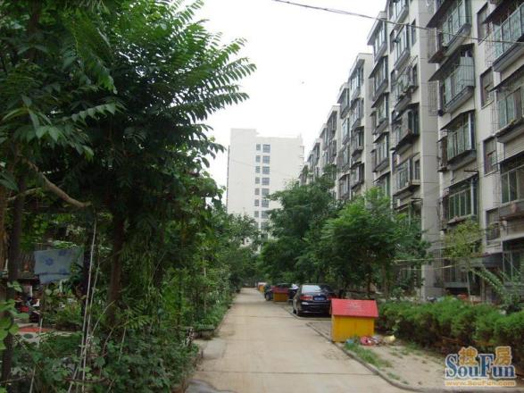大桥局家属院