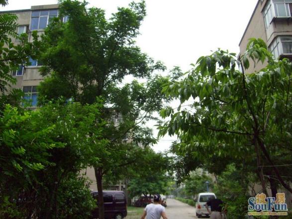 大桥局家属院