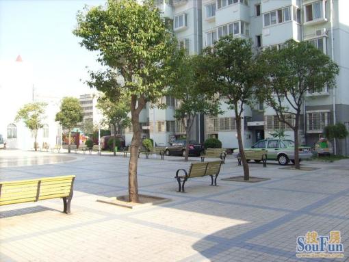瑞祥如意世家3室2厅1卫南朝向1400.00元/月出租