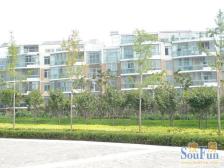 临水系 带100平前后花.园 从未入住 无贷款