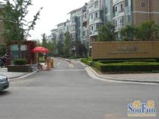 电梯大复式,带80平露台,280平5房3卫,采光无遮挡