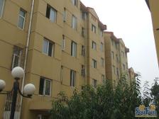 七棵树东大街低楼层两居室