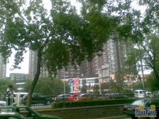 东木樨园3室1厅,东南向采光好无遮挡