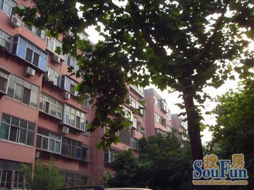 石家庄棉四幼儿园 600x450c.jpg