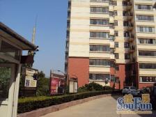 建工燕东苑 2室1厅 南