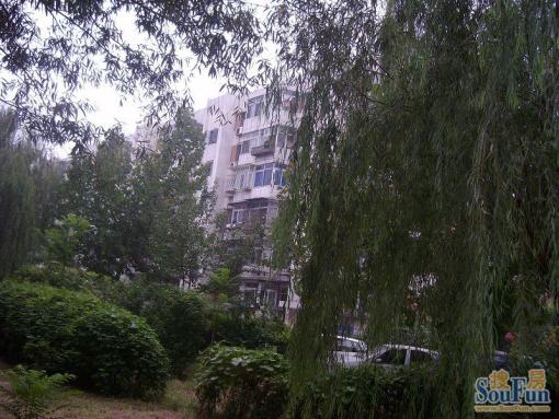 学院路建清园南北3室