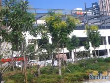 电梯房双气,满五年,好楼层。出行便利看房方便