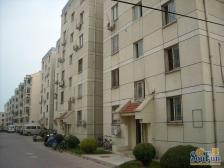 金台园,低楼层,有阳台,两居室