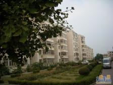 金台园4层停车方便