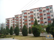 南华园四区2室2厅南北