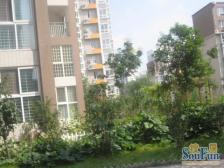 金源第一城,双气多层通透,三开间朝南,公摊少