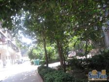 非顶楼,满五唯一 税费低 地铁口多层大两房 高得房率