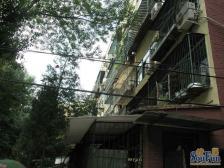 蒲黄榆·刘家窑东里·2室·1厅