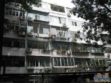 刘家窑东里3室1厅东北