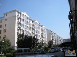 宁园街富秀园 不到顶 H户型 不临街不把边 采光好