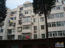 于家园二区北院3室1厅南北