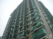 大隐名座 舒至嘉园 精装修 南向户型