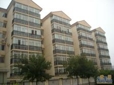 幸福东园2号院3室1厅南北