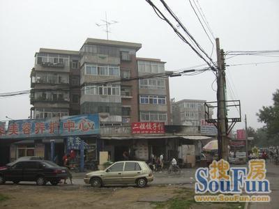 金沙江里