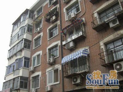 金沙江里