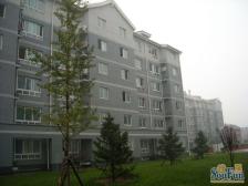 金善名居二居室业主诚意出售看房方便