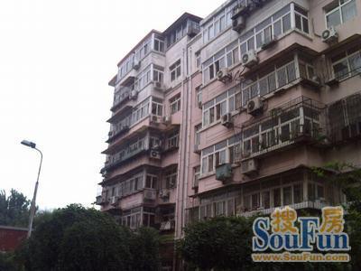 青春南里