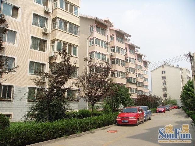 【济南荷花园小区,二手房,租房】- 济南房天下