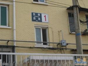 东柳西里三居室南北通透满五唯一中间楼层