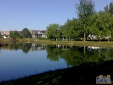 万象汇商圈 亚澜湾独栋 实面500平1500万