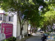 京溪小区低楼层精装两居室有钥匙