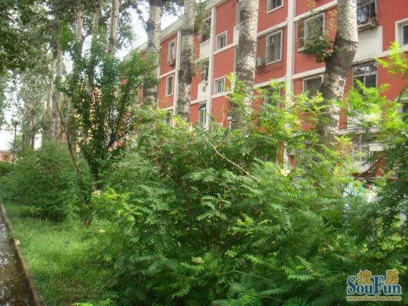 北京科技大学家属楼