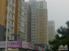 世纪家园 3室2厅 南 北