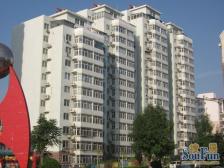 甸柳 CBD西复式带40平露台储藏室精装全屋家用家电