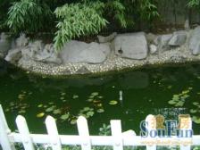 云曲山庄11-12大复式,精装60万,有地下室,有车位