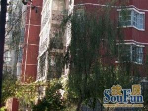 南关大街 1室1厅 南