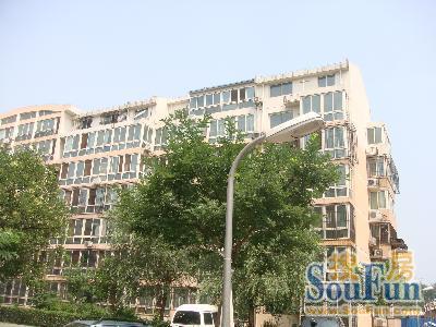 麓秀佳园2室1厅1卫南北朝向1000.00元/月出租