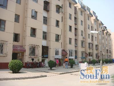 麓秀佳园2室1厅1卫南北朝向1000.00元/月出租