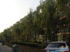 沁馥家园二居室复式格局南北通透