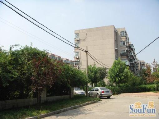 堤口路铁路宿舍2室2厅1卫南北朝向1300.00元/月出租