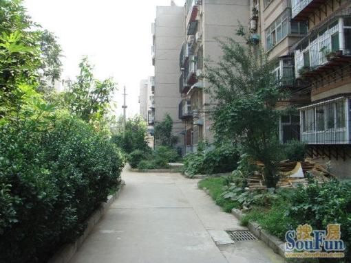 堤口路铁路宿舍2室1厅1卫南北朝向1600.00元/月出租