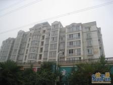 精装修,双气,户型方正 税费清晰